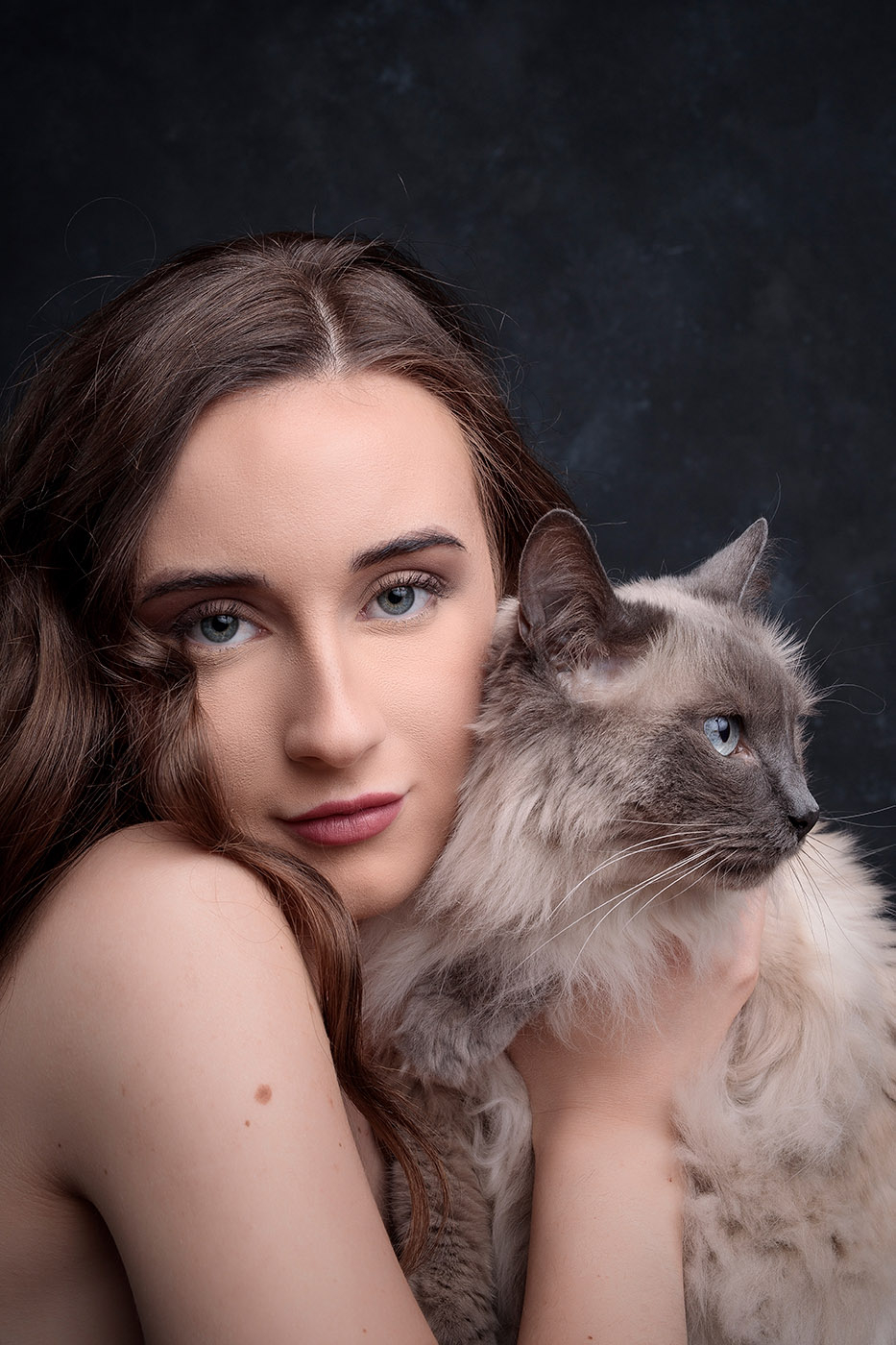 Banner image